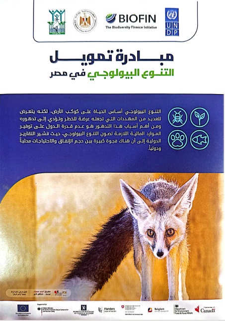 UNDP’s Biodiversity Finance Initiative (BIOFIN) in Egypt