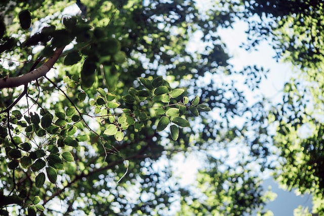 UN agency trains Sibalom Natural Park stakeholders on ecotourism