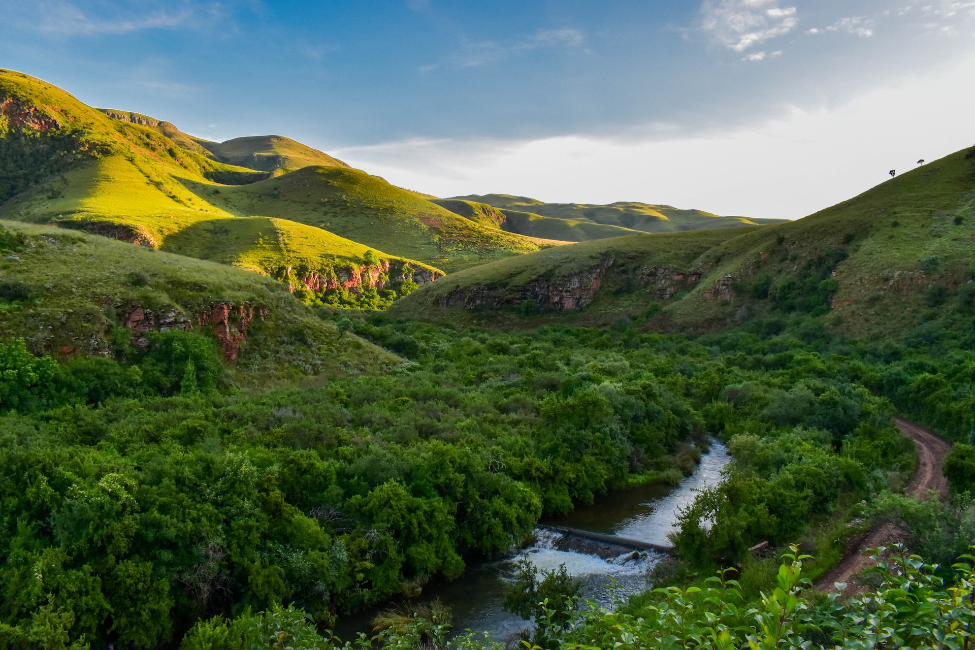 Department of Forestry, Fisheries and The Environment Launches Biodiversity Sector Investment Portal