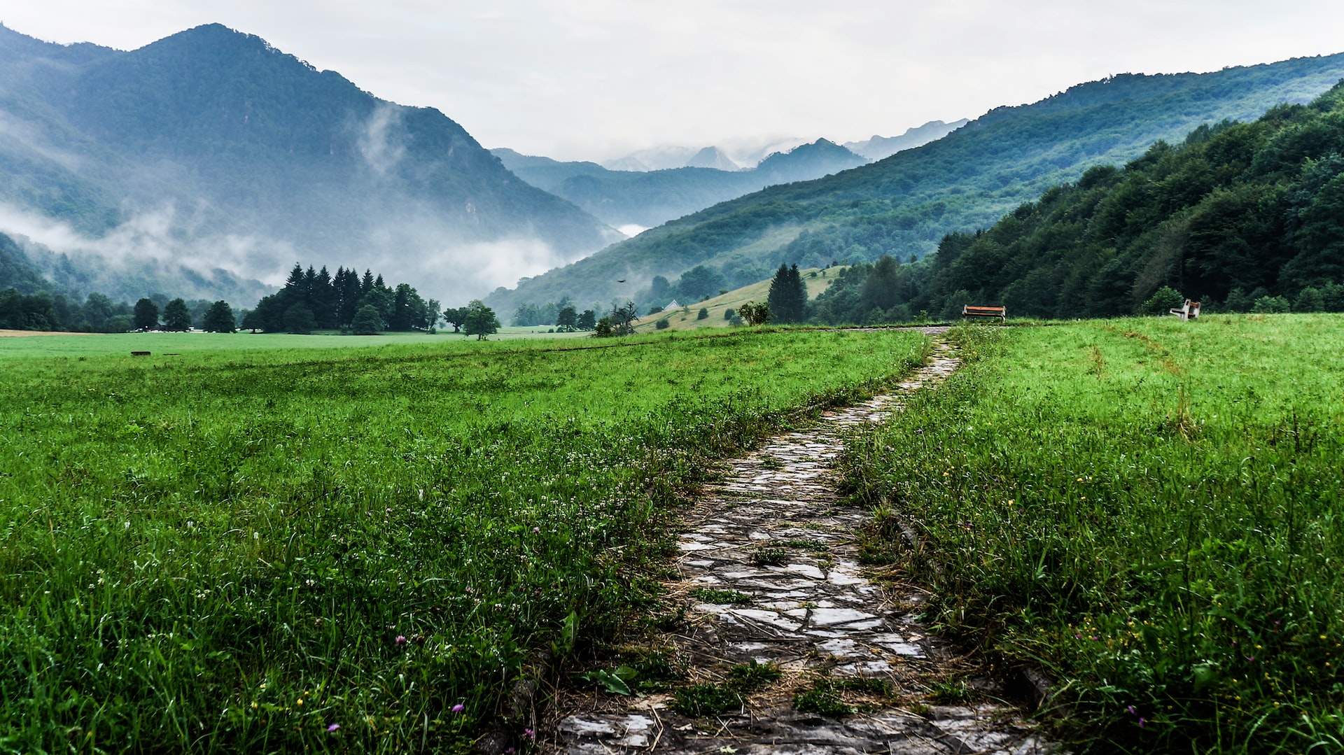 How can businesses support global efforts for a nature-positive future?