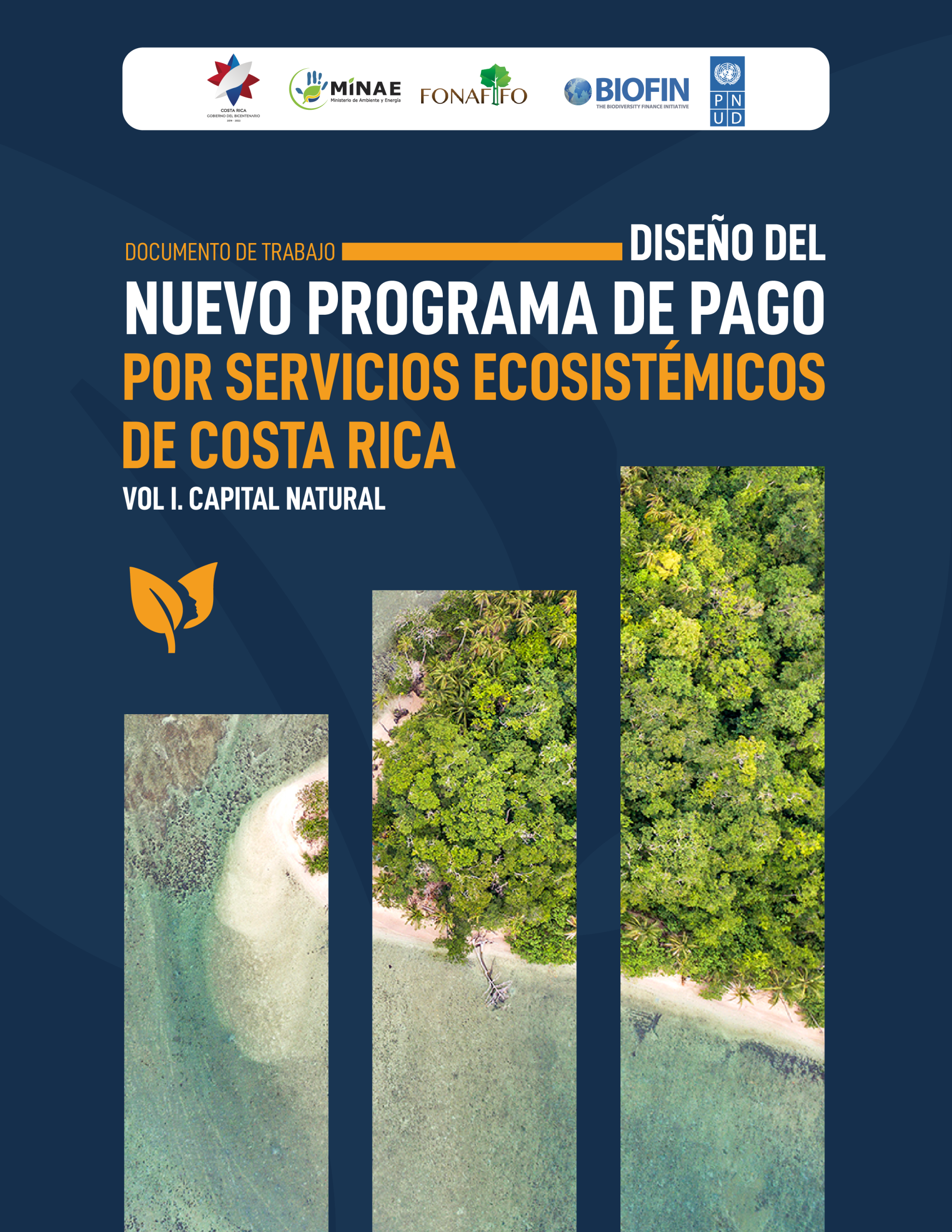 Documento de trabajo: Diseño del nuevo programa de pago por servicios ecosistémicos. VOL I: Capital Natural