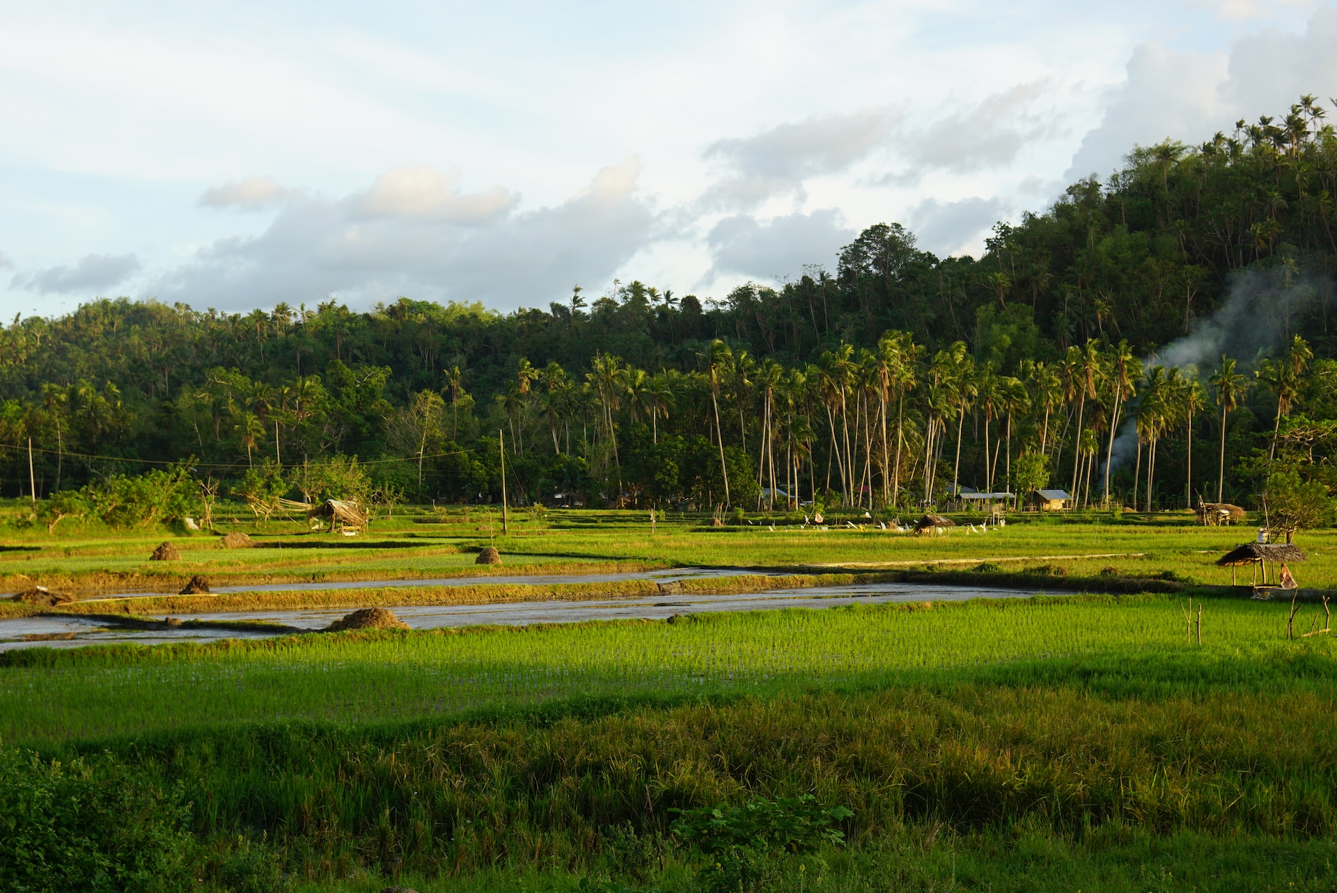 New twists to biodiversity finance solutions discussed at Europe, Asia & Pacific dialogue