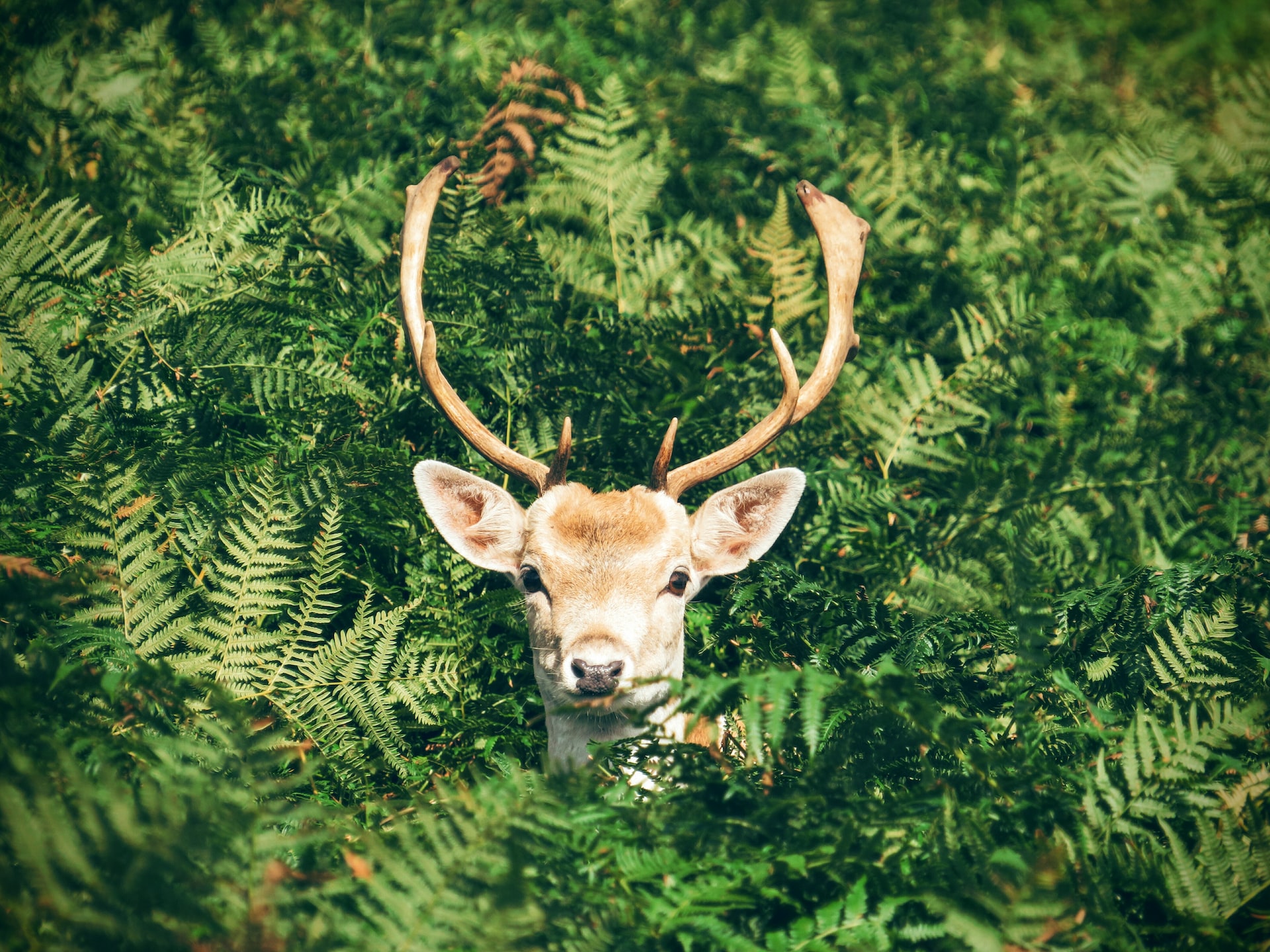 UK pledges £3.5 million to unlock investments in nature