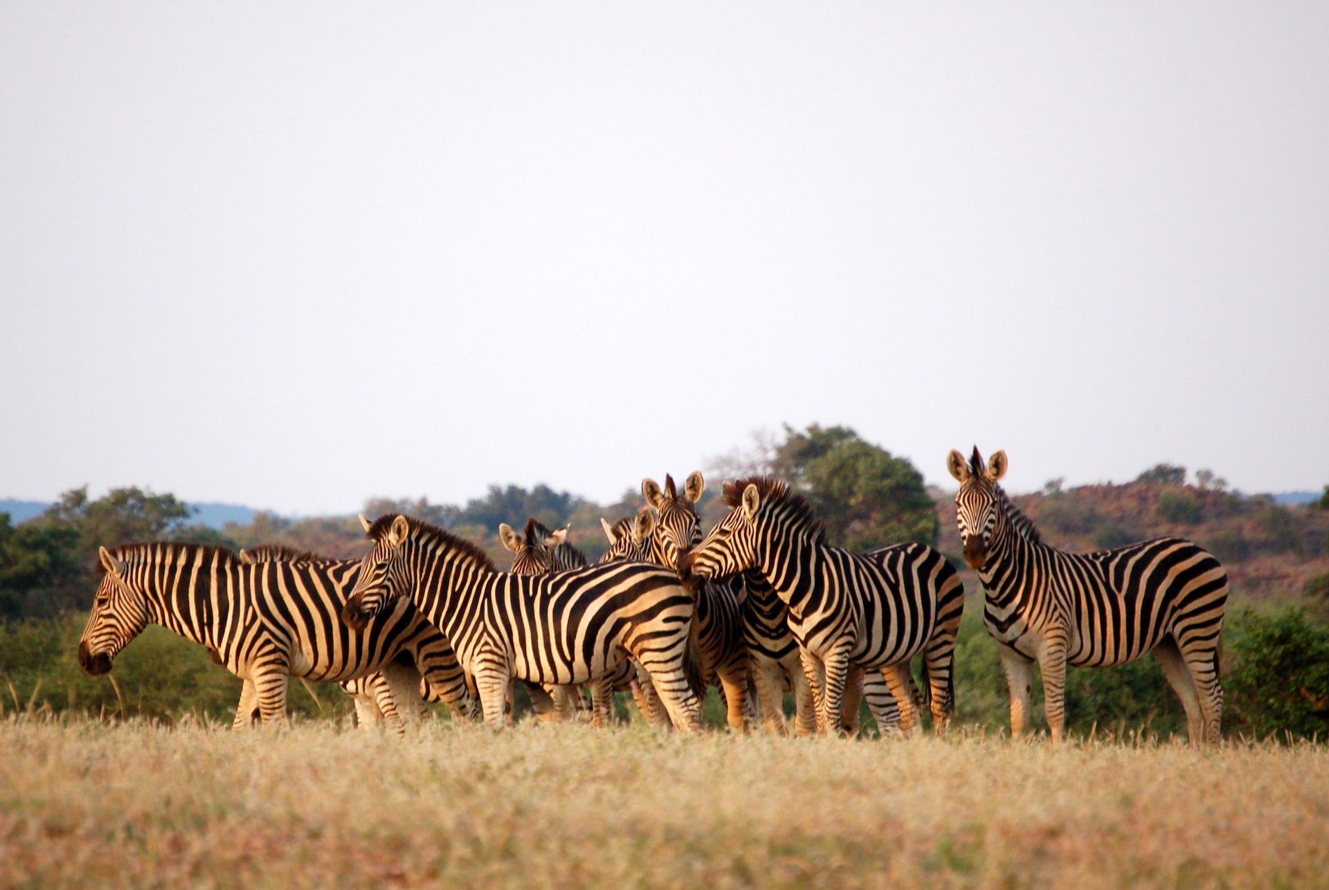 Unlocking the financing potential of national parks in Botswana