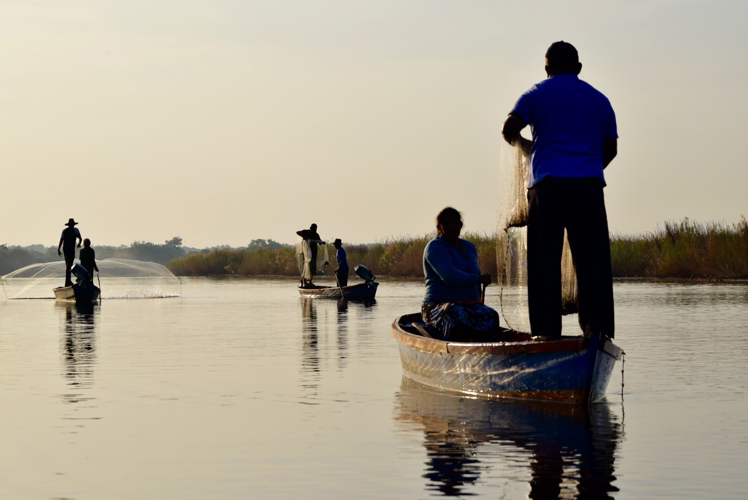 Investing in the Planet’s Safety Net