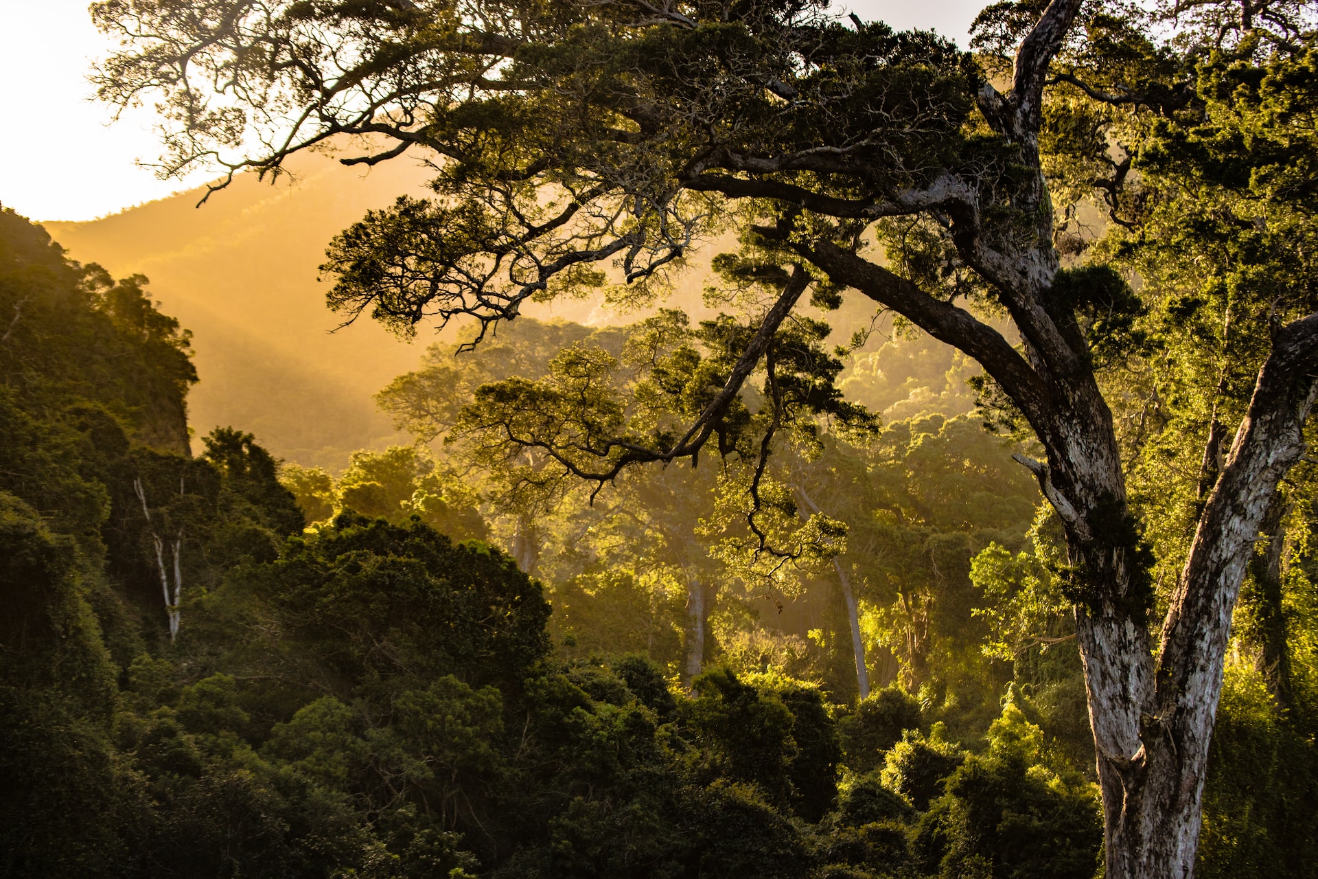 Managing communal land as a resource in South Africa
