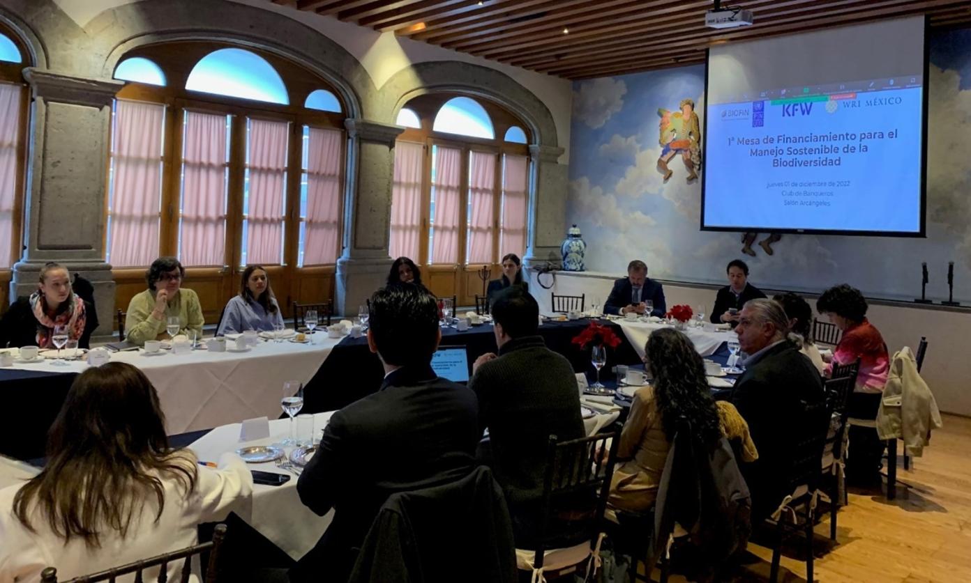 BIOFIN Mexico organizes the first working table on finance for the sustainable management of biodiversity
