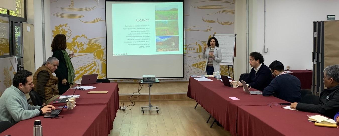 BIOFIN Mexico presents results on analysis of biodiversity-relevant subsidies