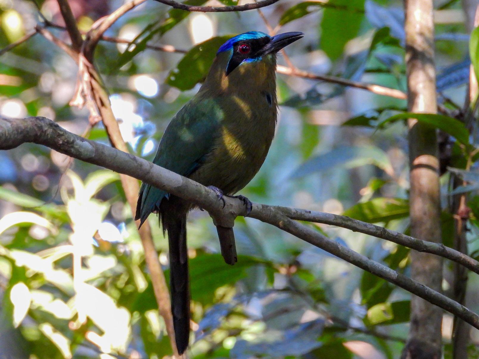 Report on Public Expenditure on Biodiversity of Colombia 2021