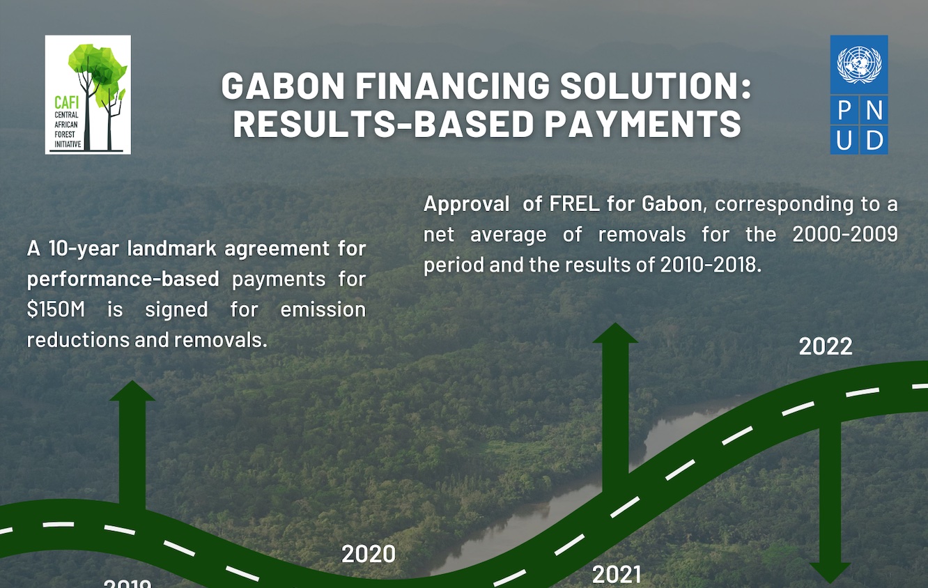 Gabon Financing Solutions: Results-Based Payments