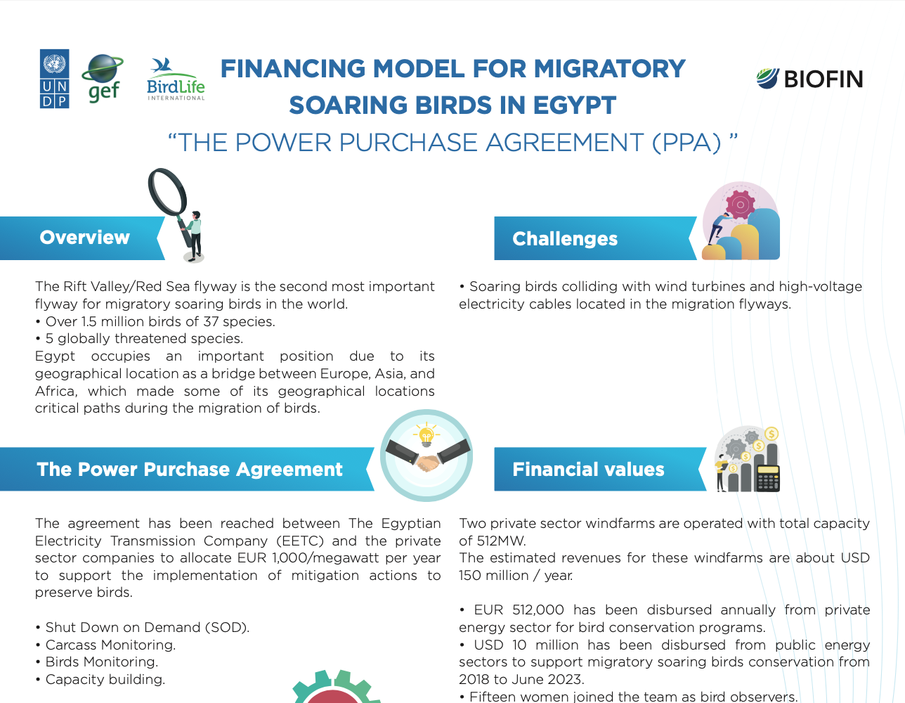 Financing Model for Migratory Soaring Birds in Egypt: The Power Purchase Agreement (PPA)