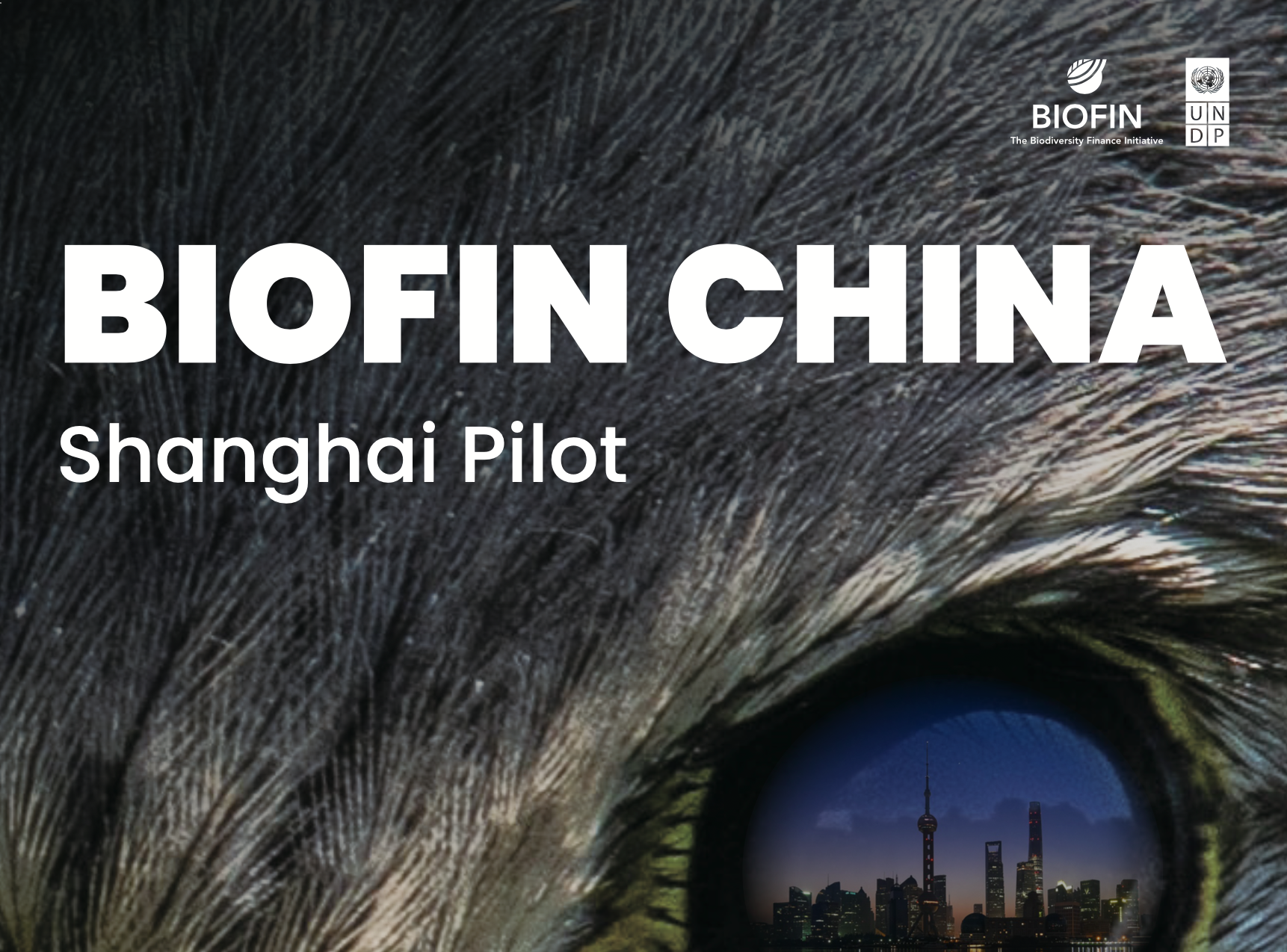 BIOFIN China: Shanghai Pilot