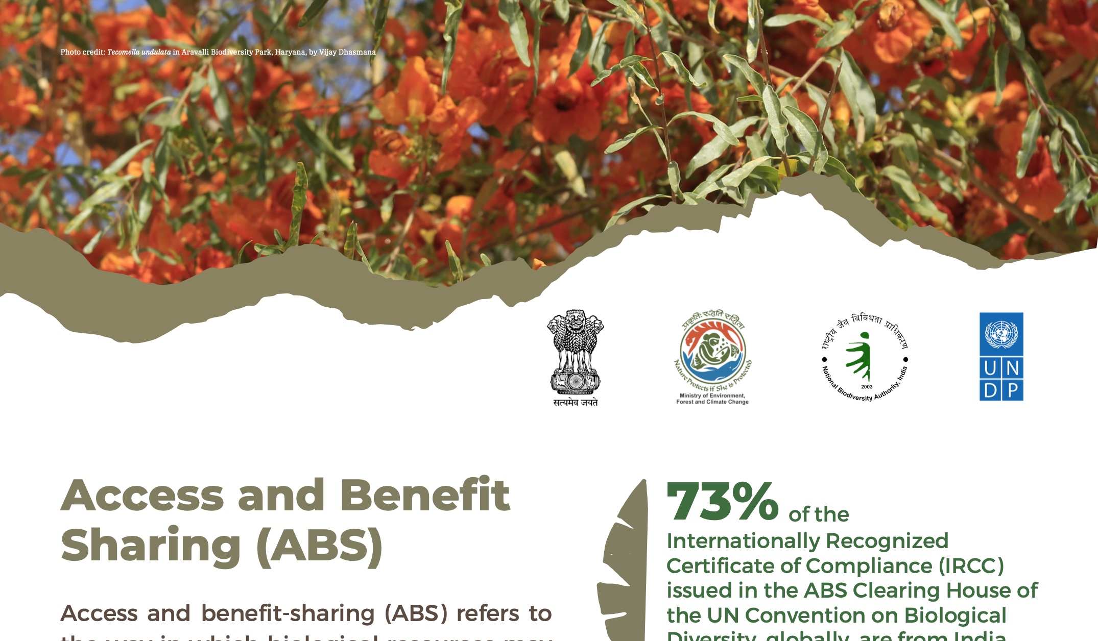Access and Benefit Sharing (ABS)