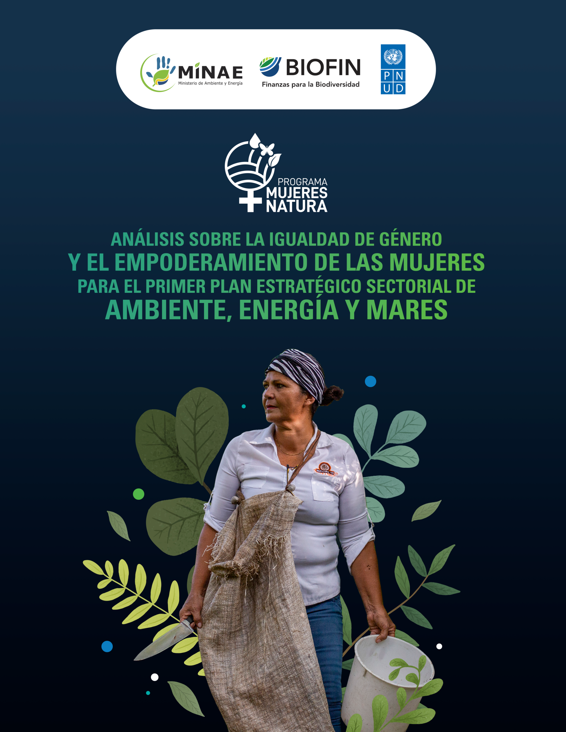 Análisis sobre la igualdad de género y el empoderamiento de las mujeres en su diversidad para el Primer Plan Estratégico Sectorial de ambiente, energía y mares.