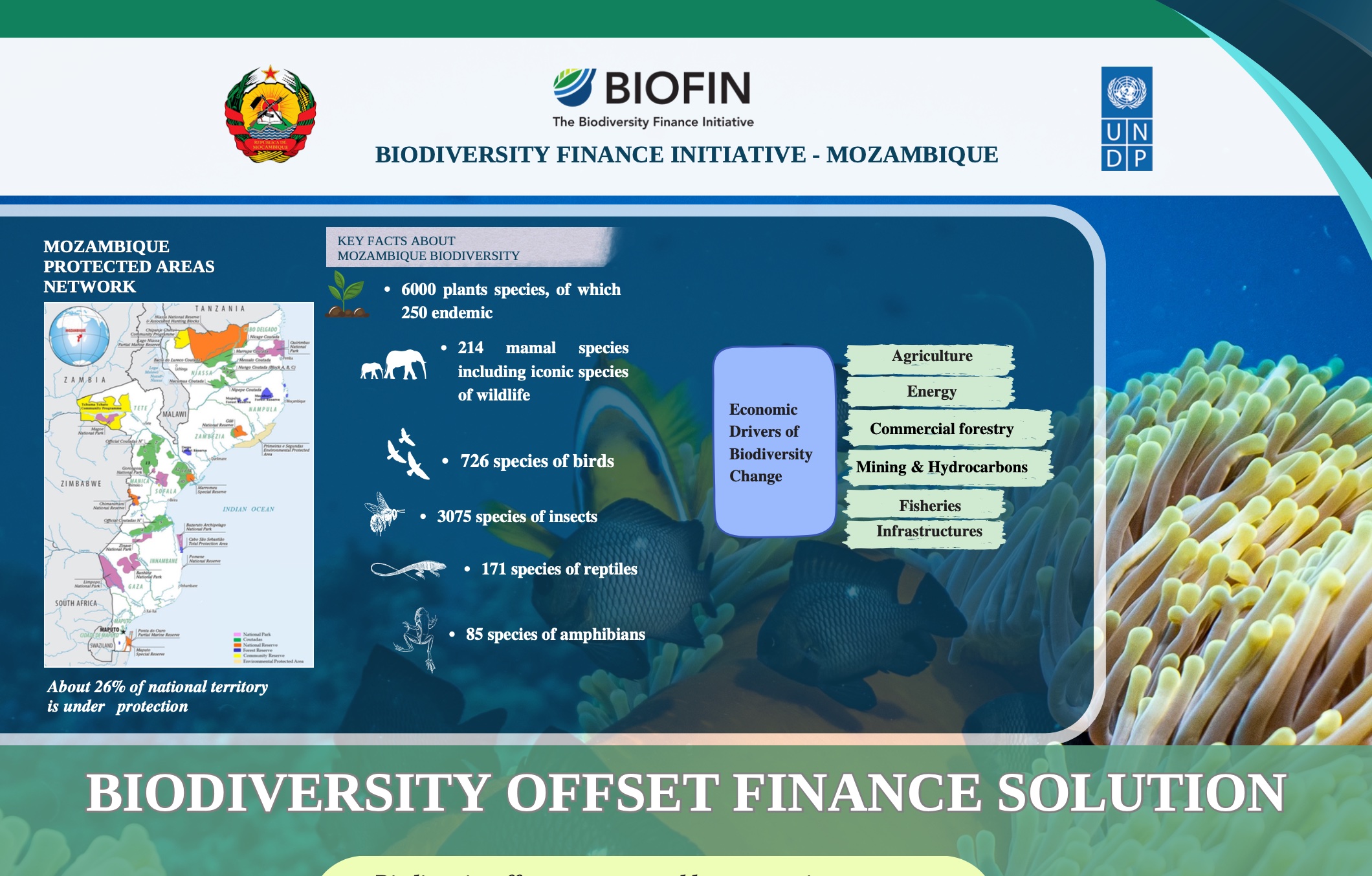 Biodiverity Finance Initiative – Mozambique