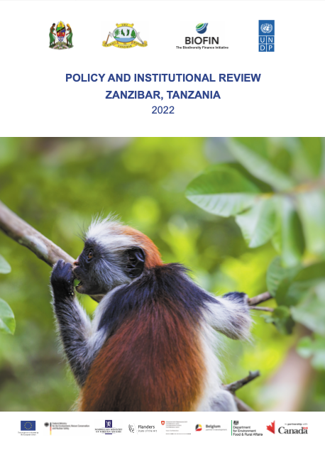 Tanzania’s Policy and Institutional Review