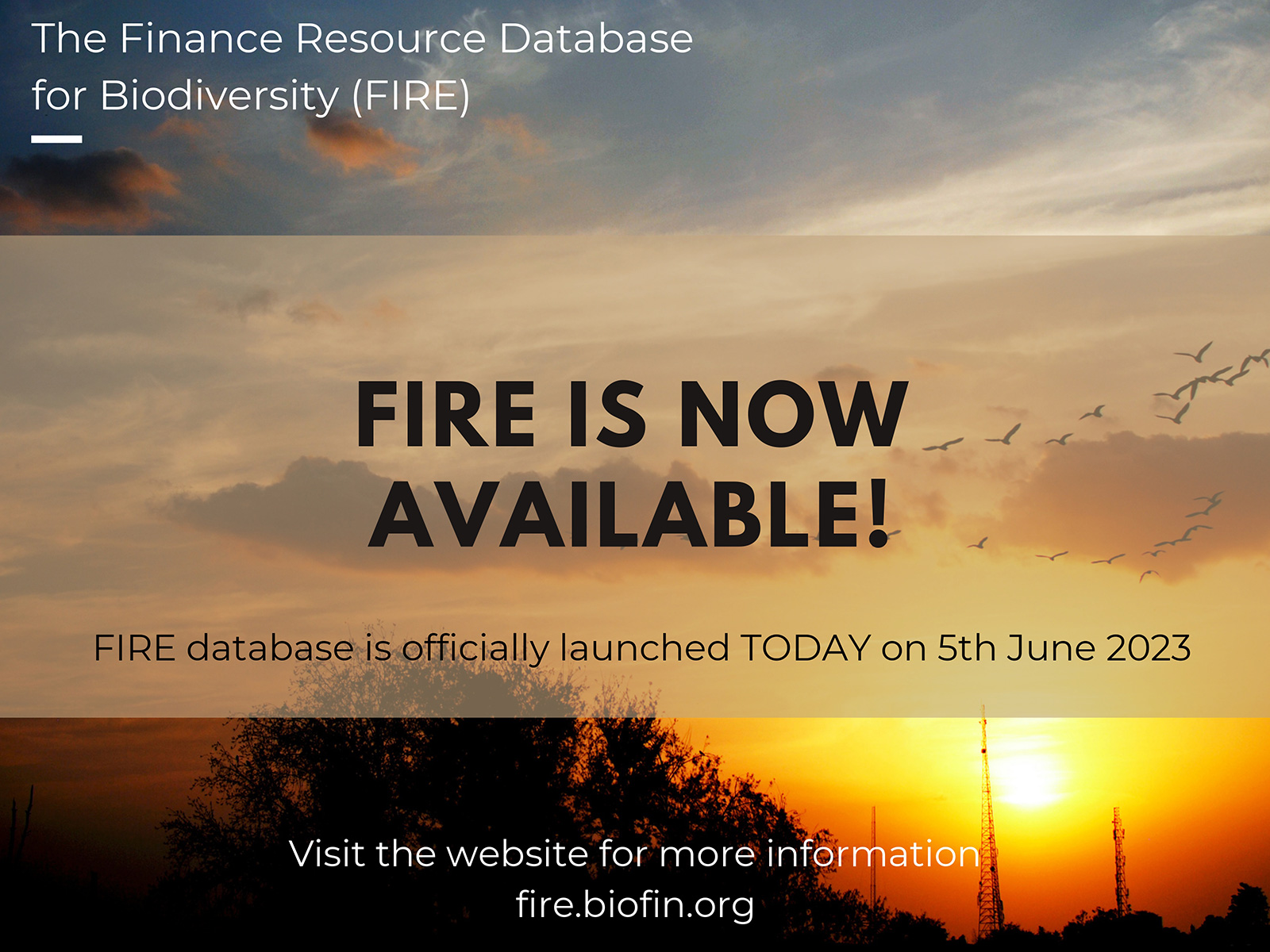 Finance Resources for Biodiversity (FIRE) is pre-launched