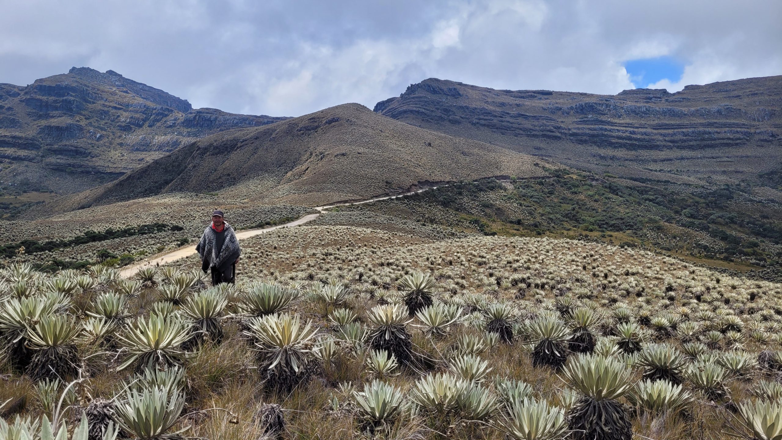 PSA hídricos para Bogotá: Avances en la implementación del Programa Distrital de Pago por Servicios Ambientales para la conservación del recurso hídrico en la ruralidad de Bogotá.