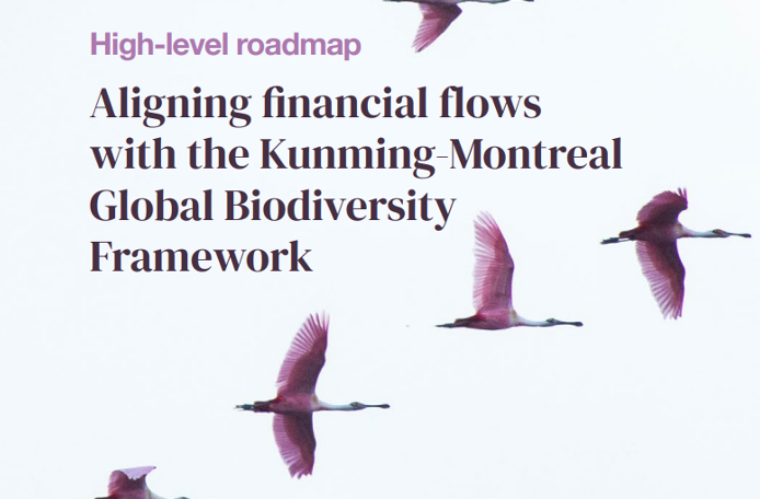 Aligning financial flows with the Kunming-Montreal Global Biodiversity Framework: the high-level roadmap is available!