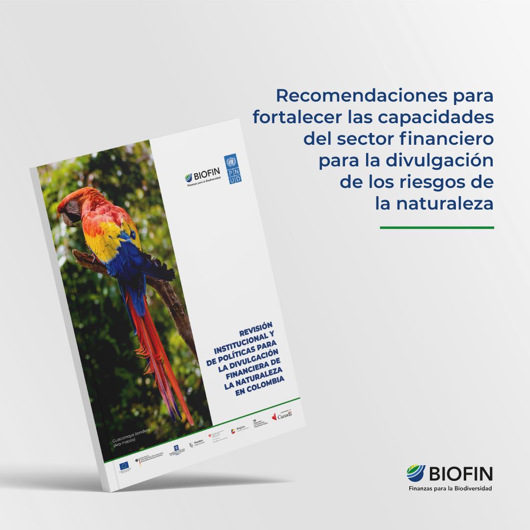 Revisión institucional y de políticas para la divulgación financiera de la naturaleza en Colombia