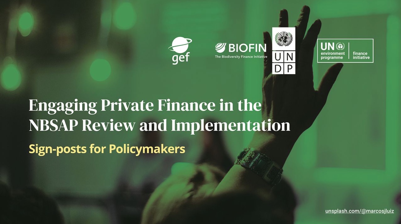 UNDP BIOFIN and UNEP FI launch a new collaboration to align private and public finance with nature goals