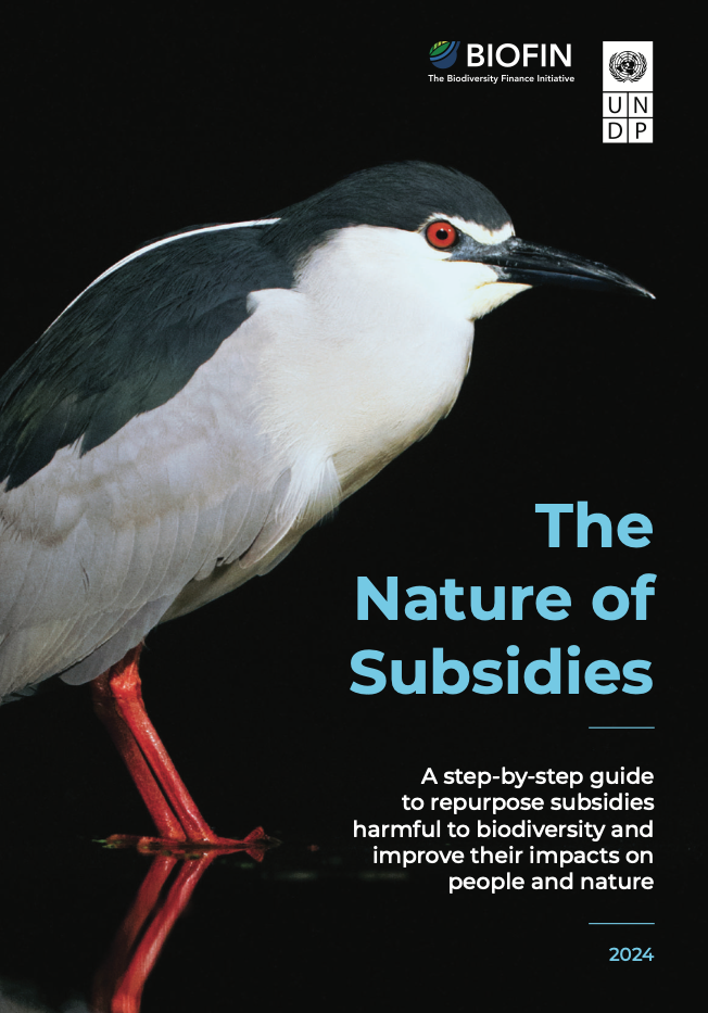 The Nature of Subsidies: A step-by-step guide to repurpose subsidies harmful to biodiversity and improve their impacts on people and nature