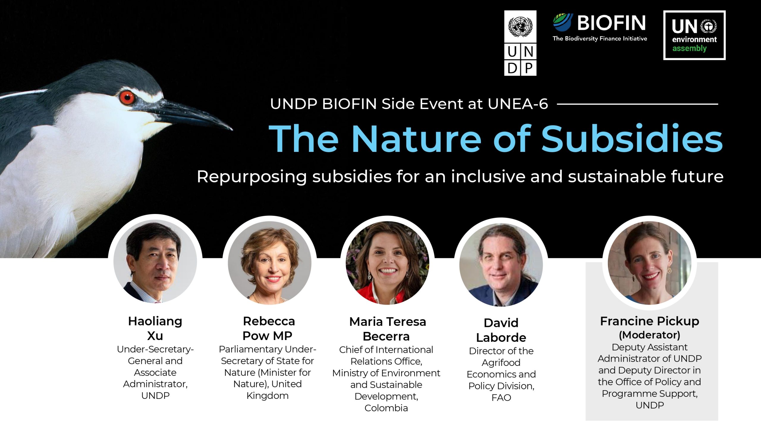 Can the repurposing of environmental harmful subsidies be an unexpected success?