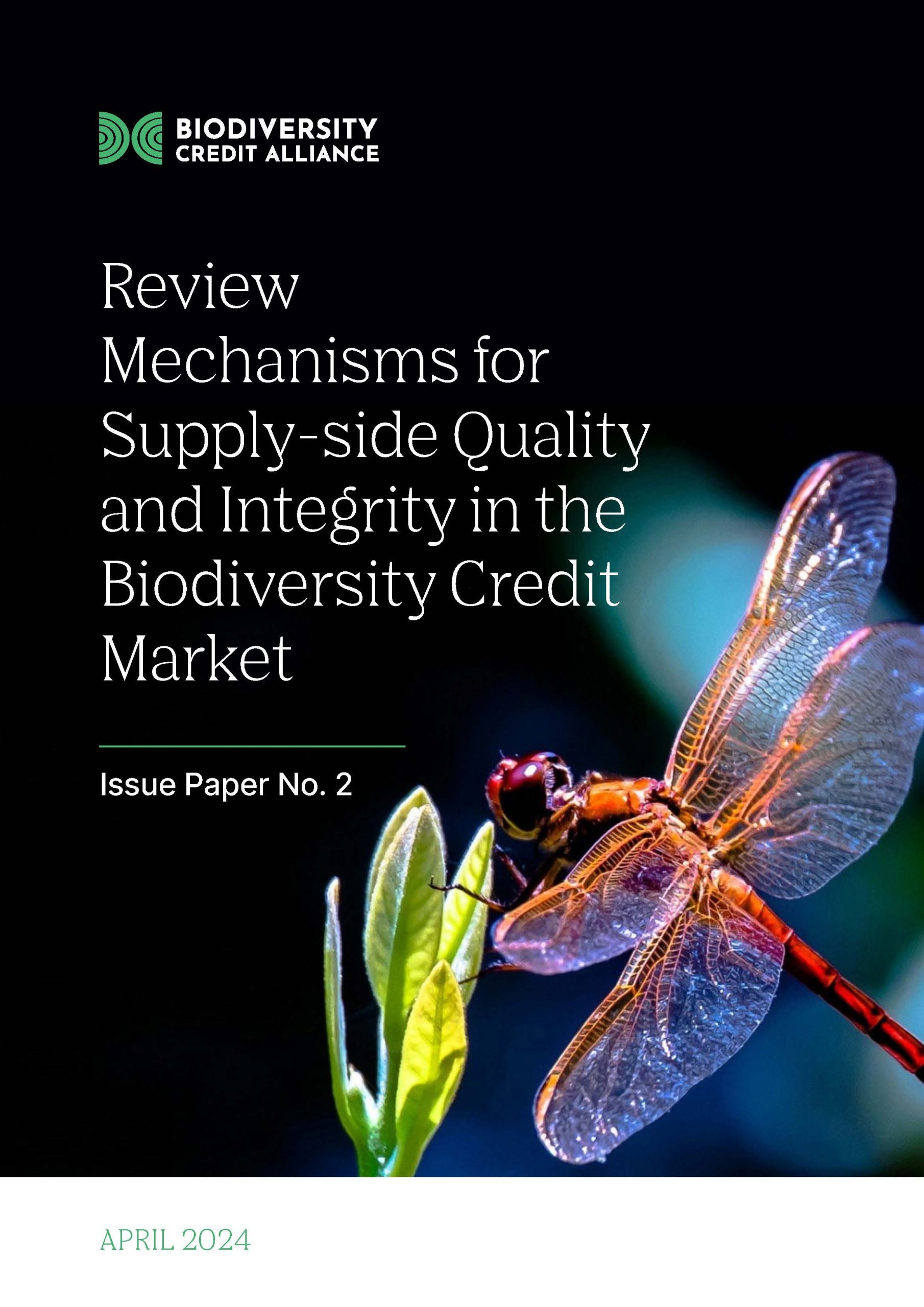 Review Mechanisms for Supply-side Quality and Integrity in the Biodiversity Credit Market