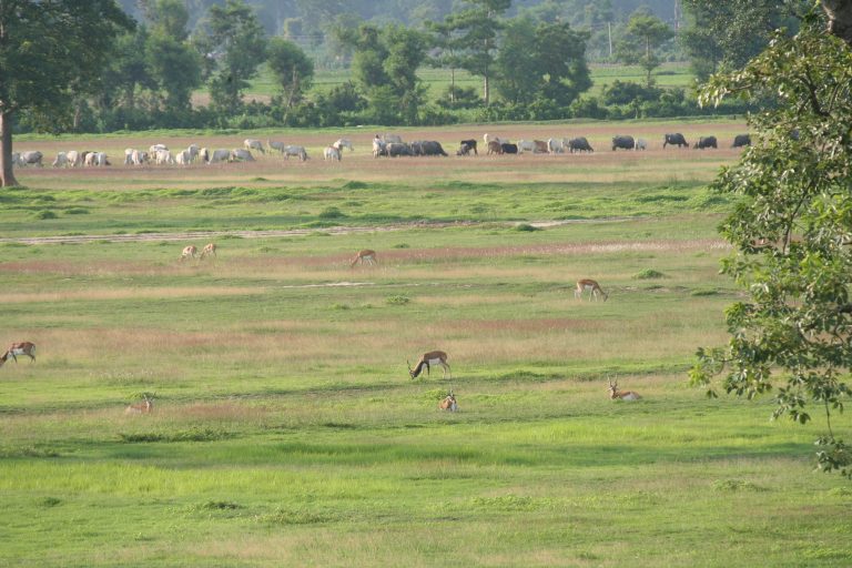 Nepal: Introductory workshop on the risk financing pilot project for wildlife damage compensation
