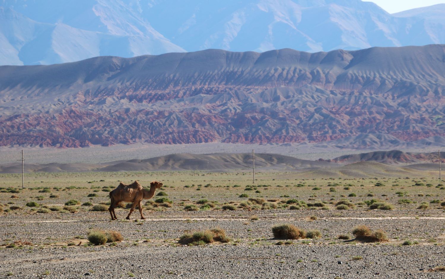 The improved implementation of the Mongolian law on natural resources use payment has tripled the country’s environmental expenditure
