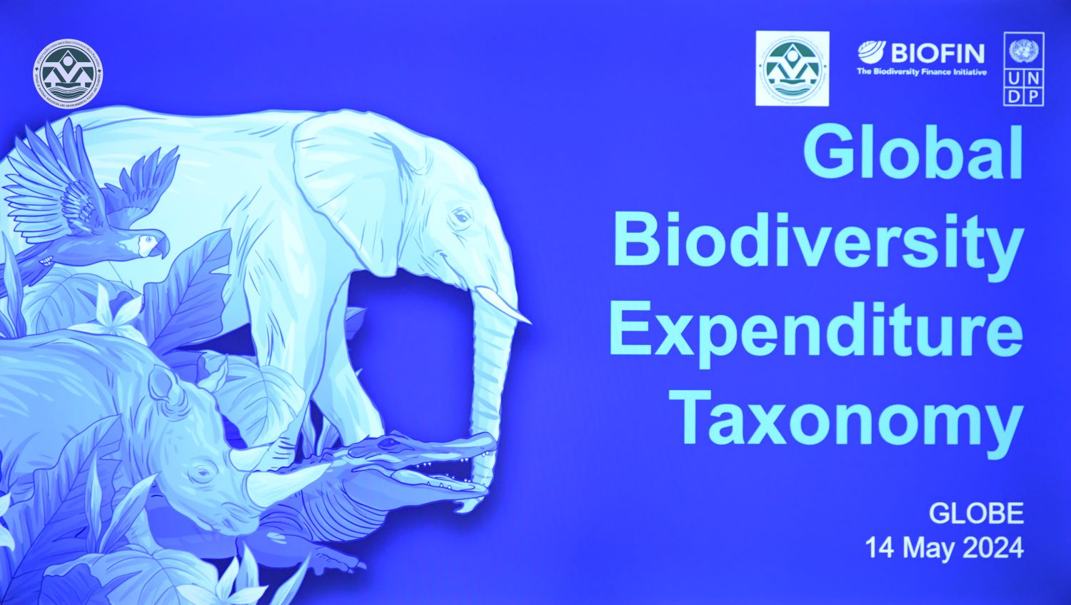 Thailand Globe Taxonomy workshop (1).jpg