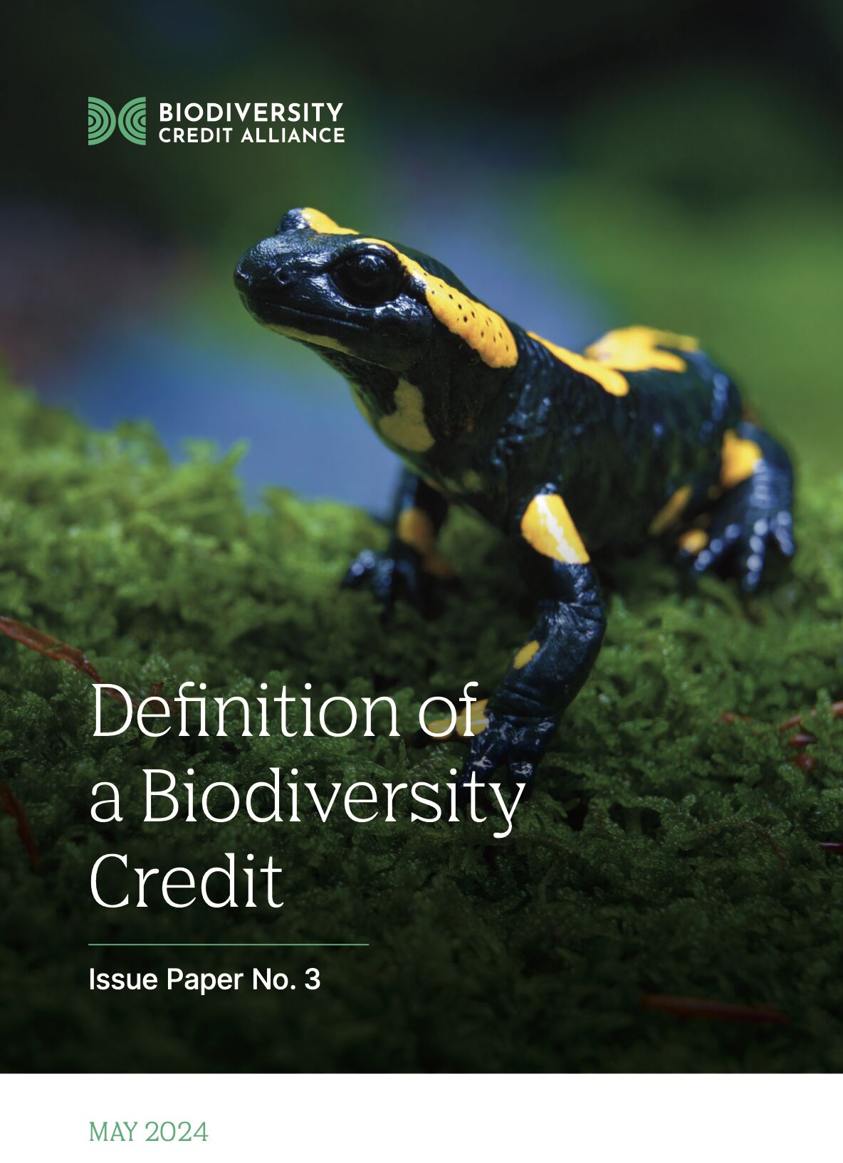 Definition of a Biodiversity Credit