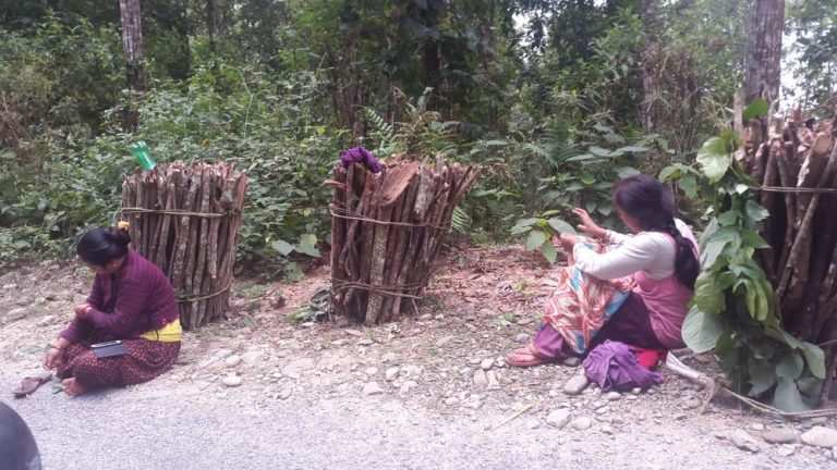 The guidelines for biodiversity-friendly forest management will help close the biodiversity financing gap in Nepal