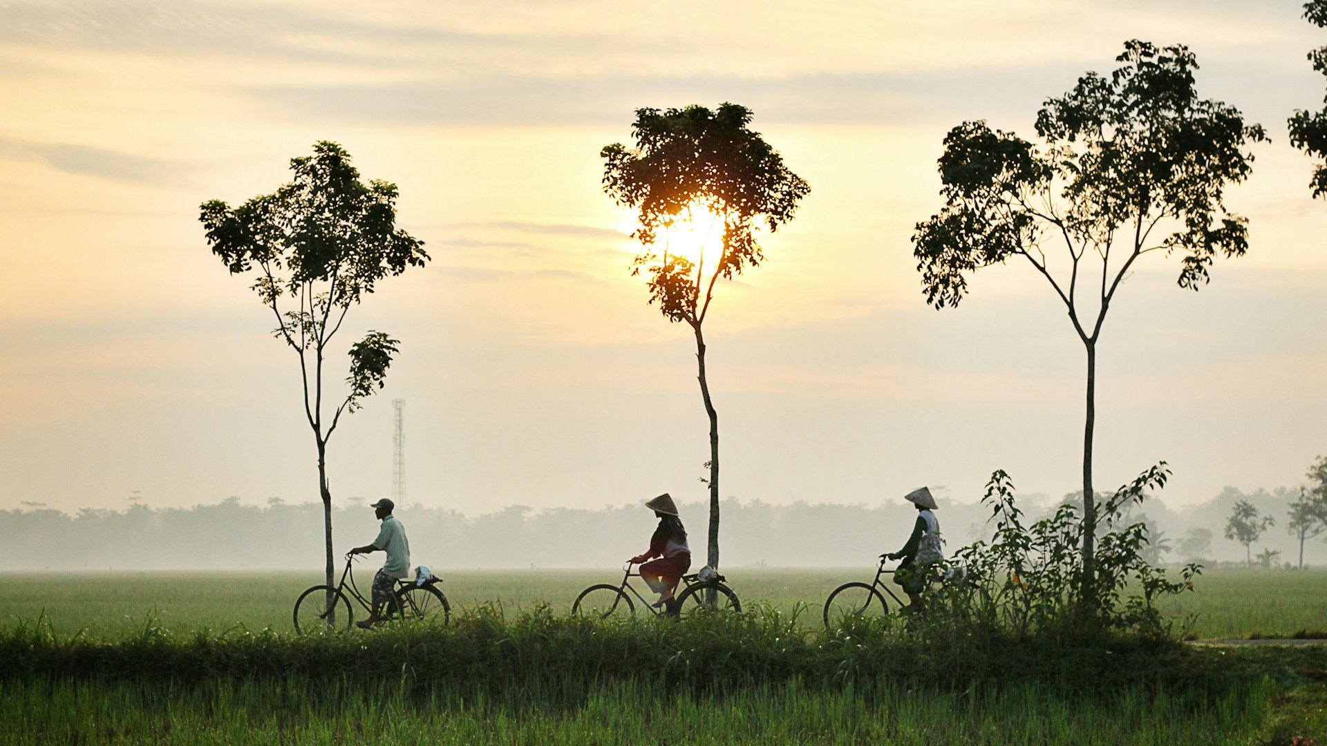 Indonesia identifies and tracks biodiversity spending of US$600 million a year through improved tracking system