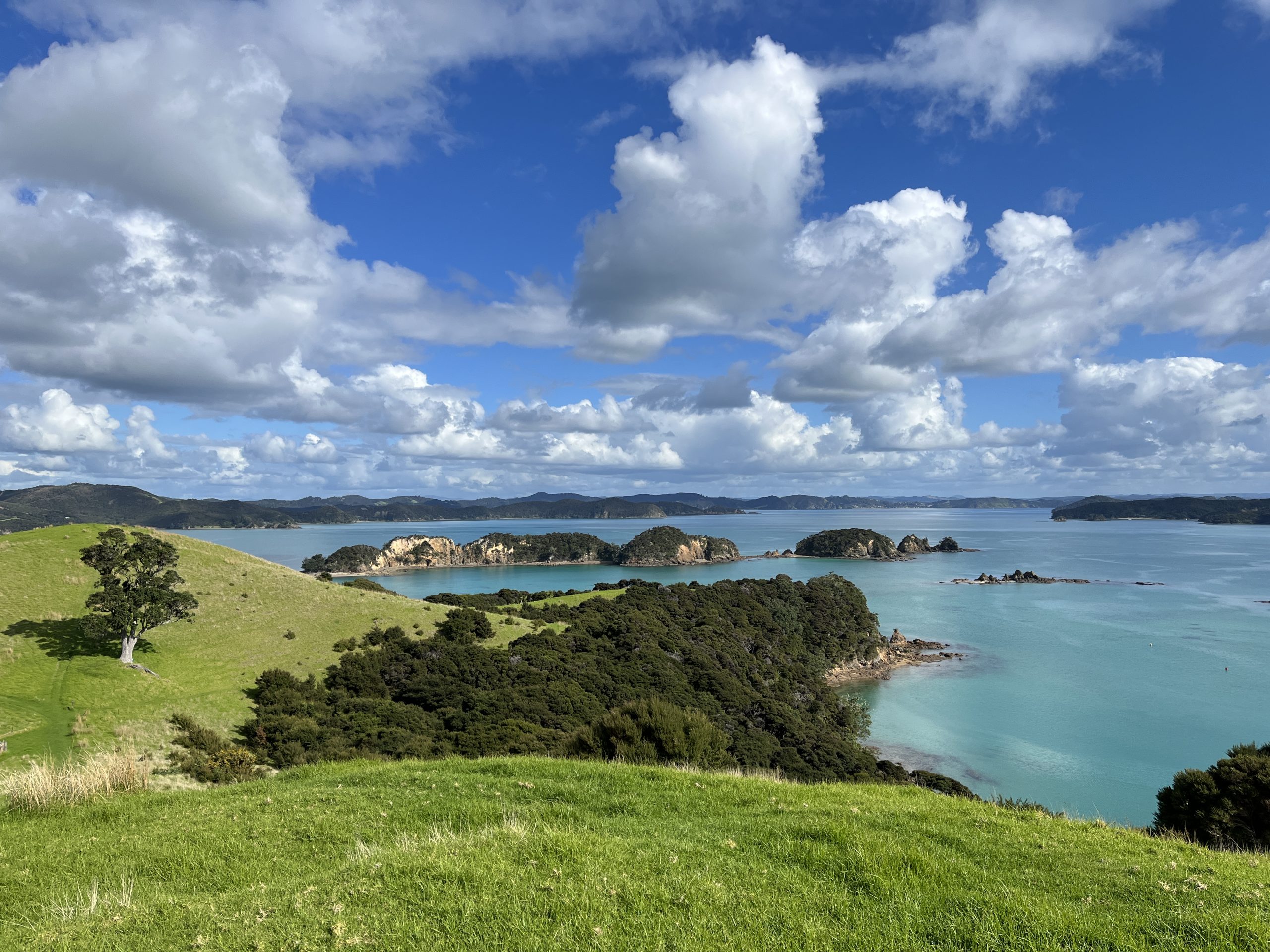 New Zealand will conduct Biodiversity Finance Assessment using BIOFIN methodology