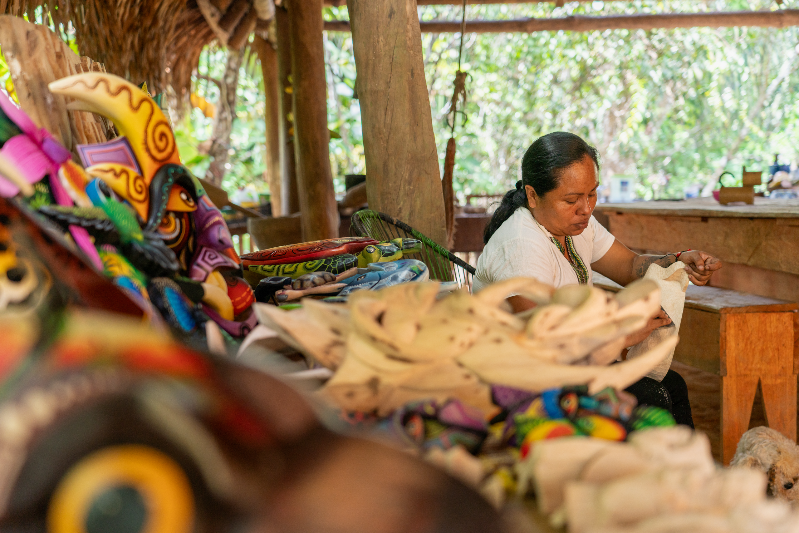 RAICES and BIOFIN launch the 3rd edition of the Indigenous Tourism Incubator in Costa Rica