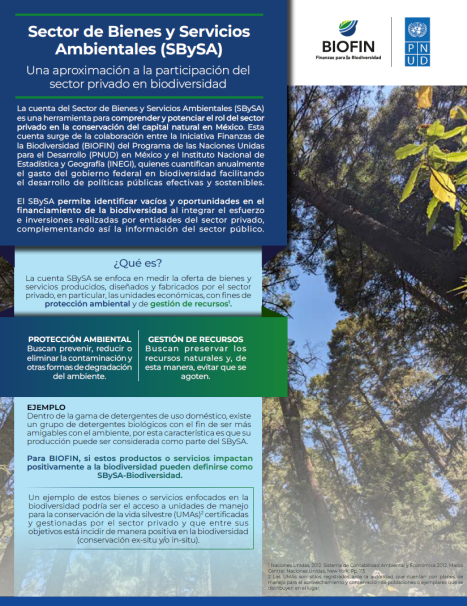 Sector de Bienes y Servicios Ambientales