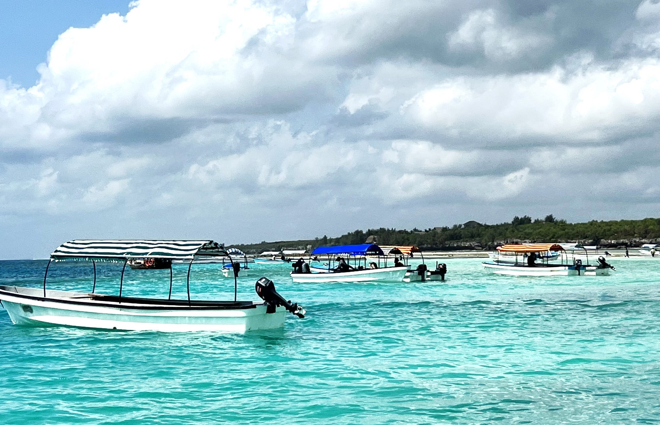 Boosting Marine Conservation: How efficient fee collection and optimization can make a difference in Zanzibar