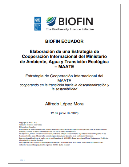 Estrategia de Cooperación Internacional del MAATE: cooperando en la transición hacia la descarbonización y la sostenibilidad