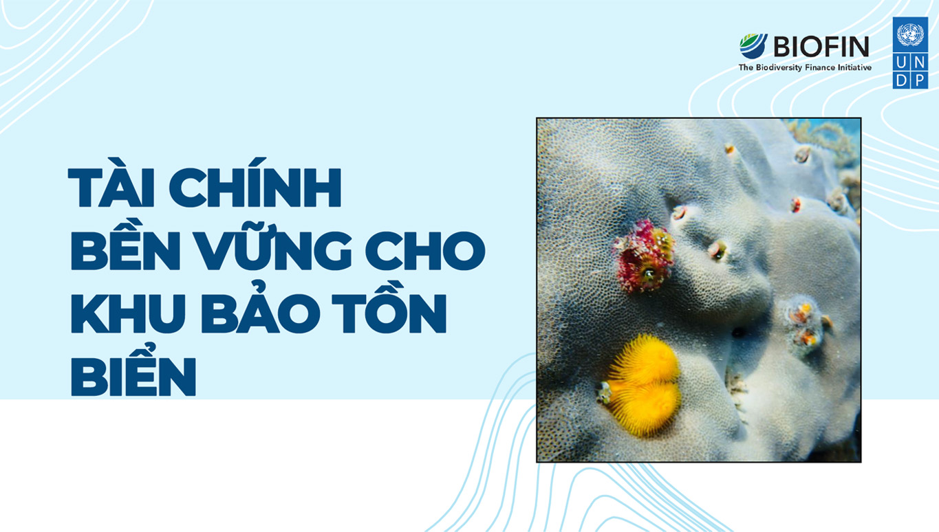 UNDP Highlights BIOFIN Solutions for Sustainable MPA Financing in Viet Nam