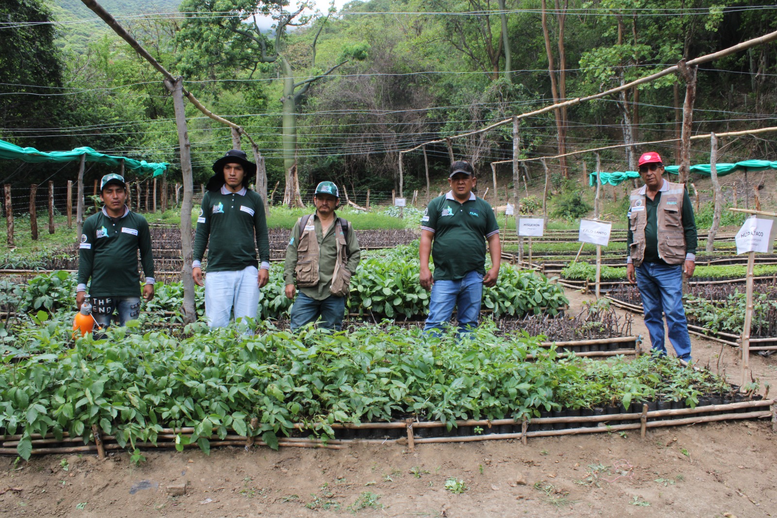 Peru drives US$ 8 million investment in biodiversity conservation through two innovative financial mechanisms