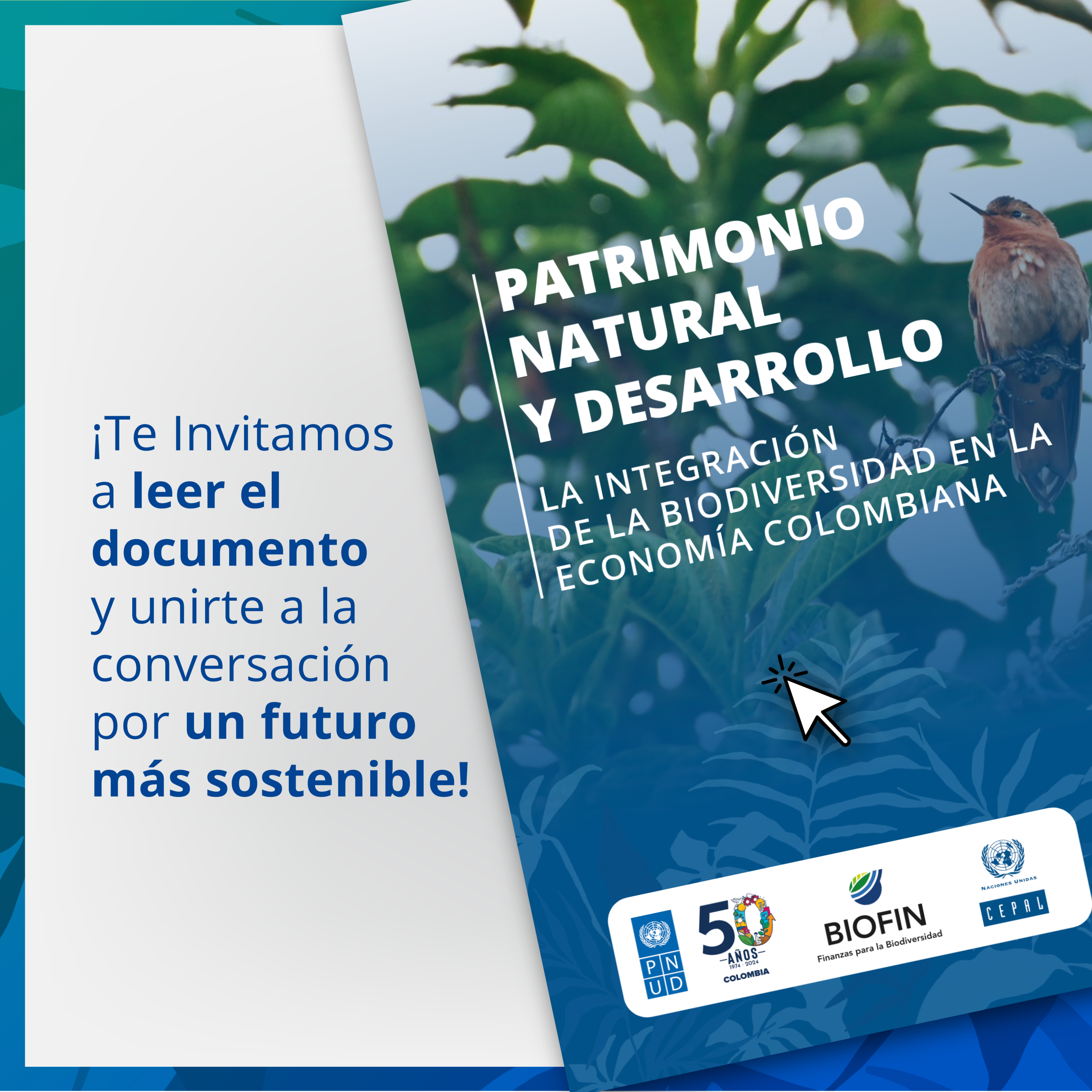 Patrimonio natural y desarrollo humano sostenible: la integración de la biodiversidad en la economía colombiana