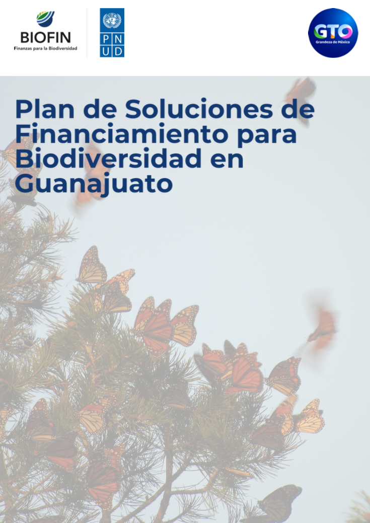 Plan de Soluciones de Financiamiento de Guanajuato