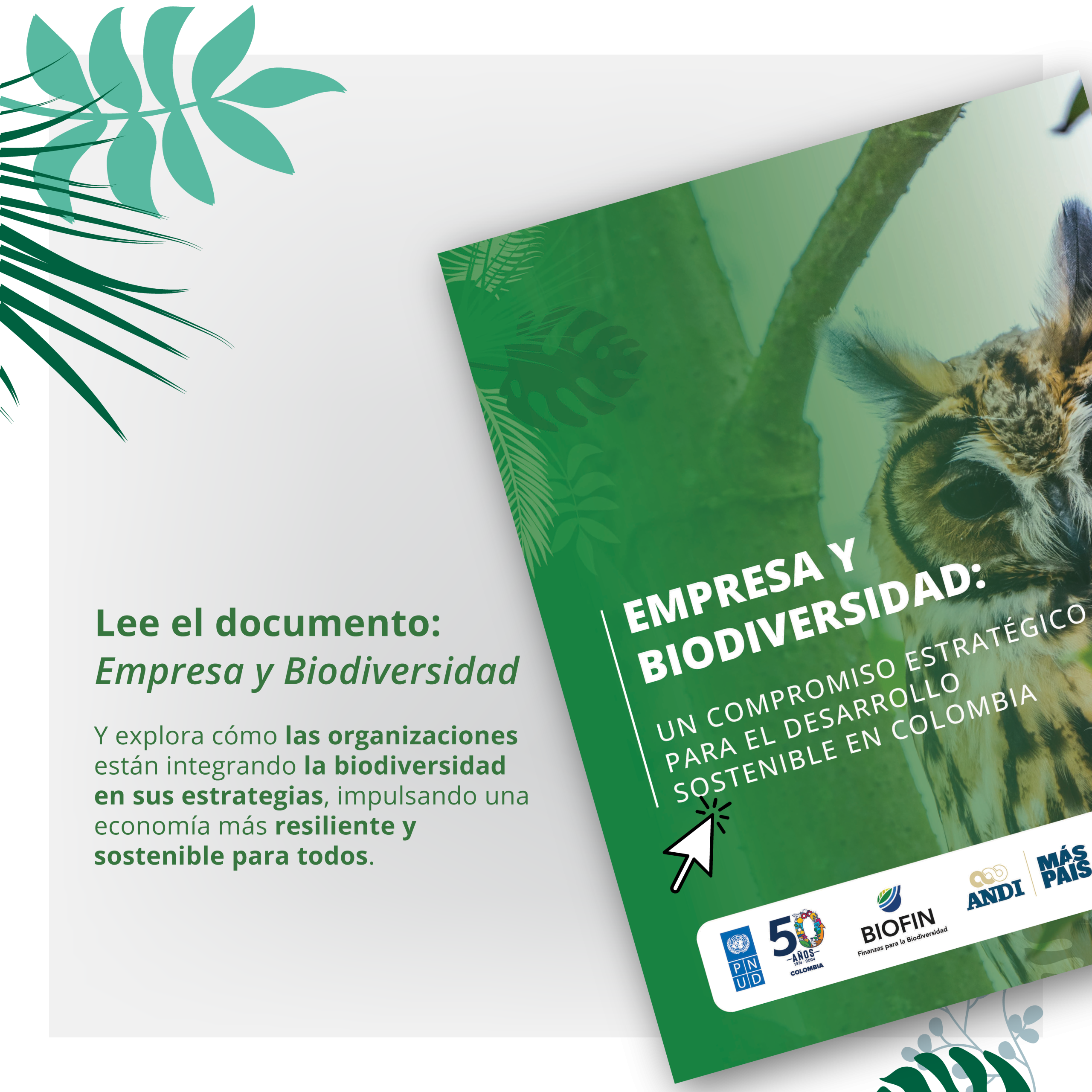 Empresa y biodiversidad: un compromiso estratégico para el desarrollo sostenible en Colombia