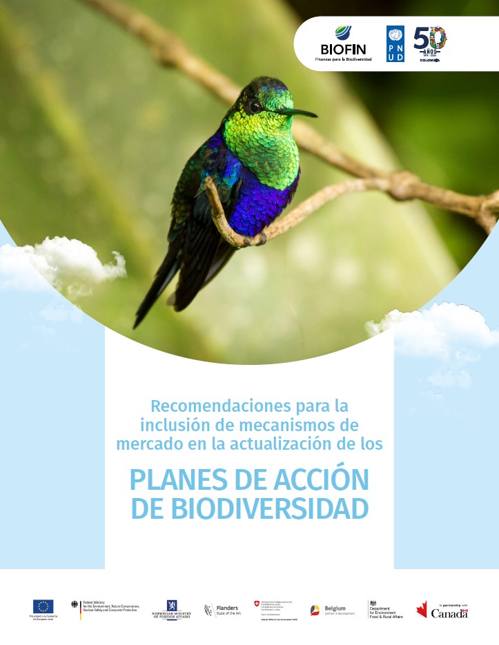 Recomendaciones para la inclusión de mecanismos de mercado en la actualización de los Planes de Acción de Biodiversidad