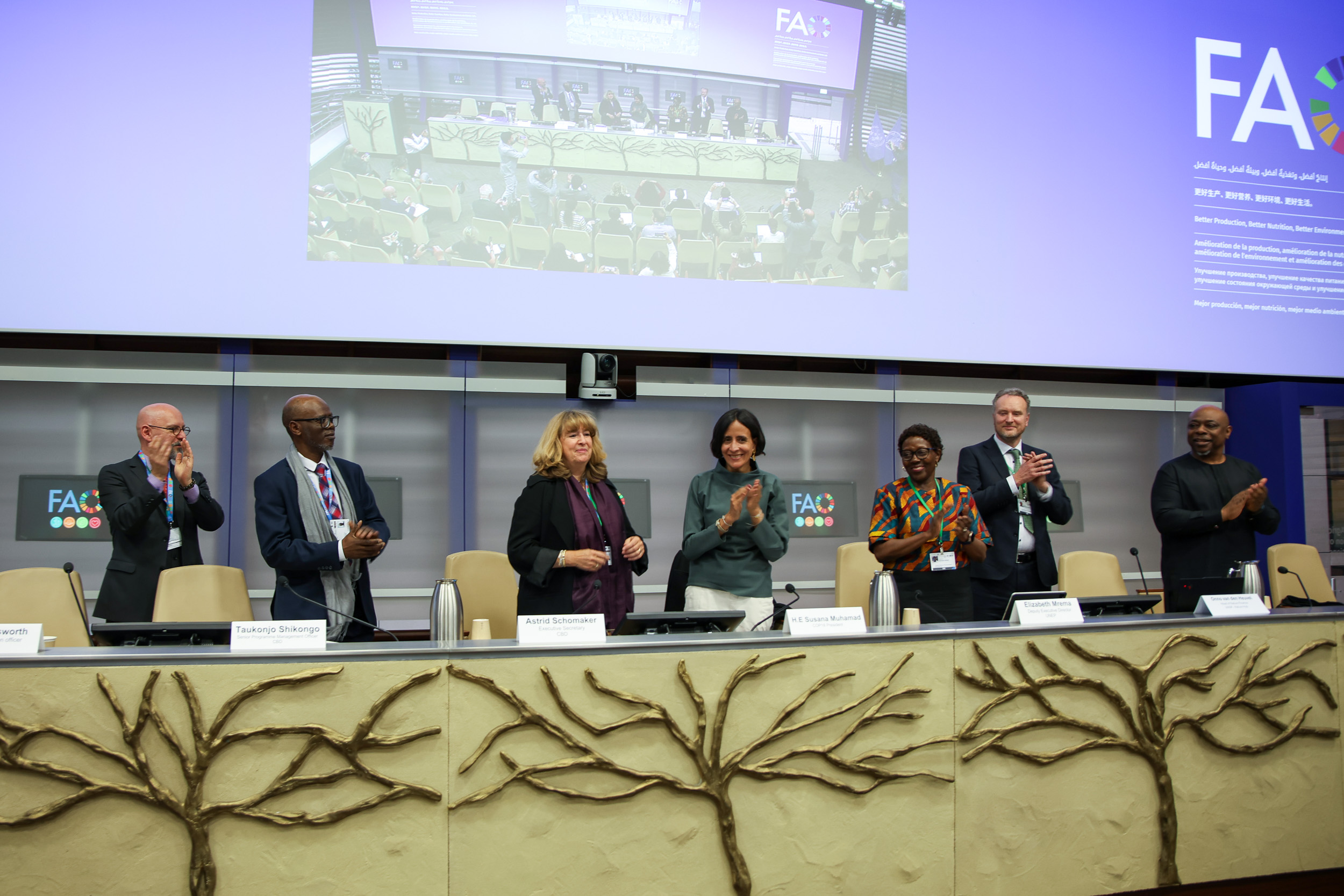 UNDP and UNEP launch the Cali Fund at COP16 in Rome, heralding a new era of biodiversity financing