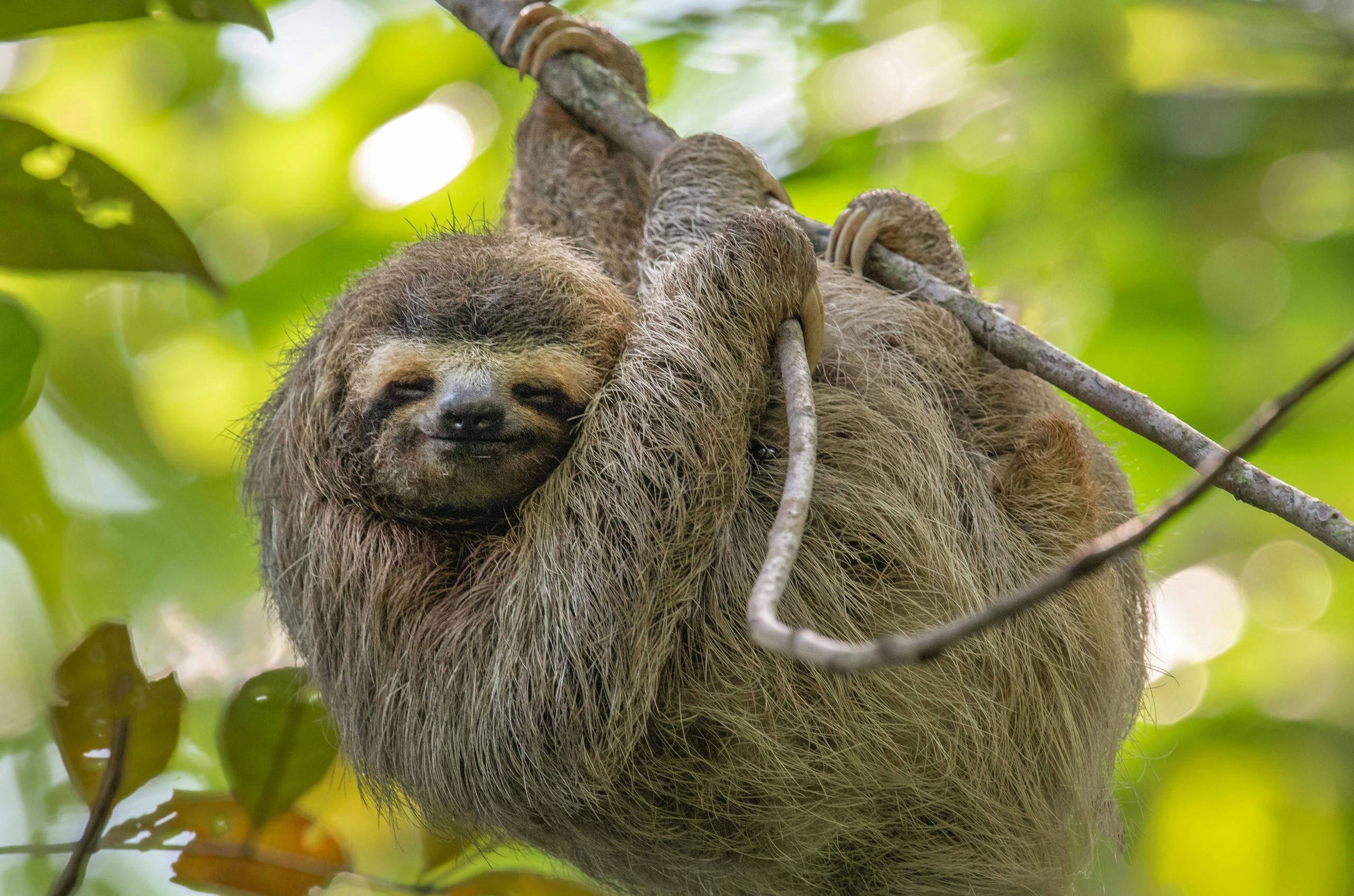 Costa Rica’s Future Flows Securitization Bill for Protected Areas provides a replicable model for unlocking public-private finance
