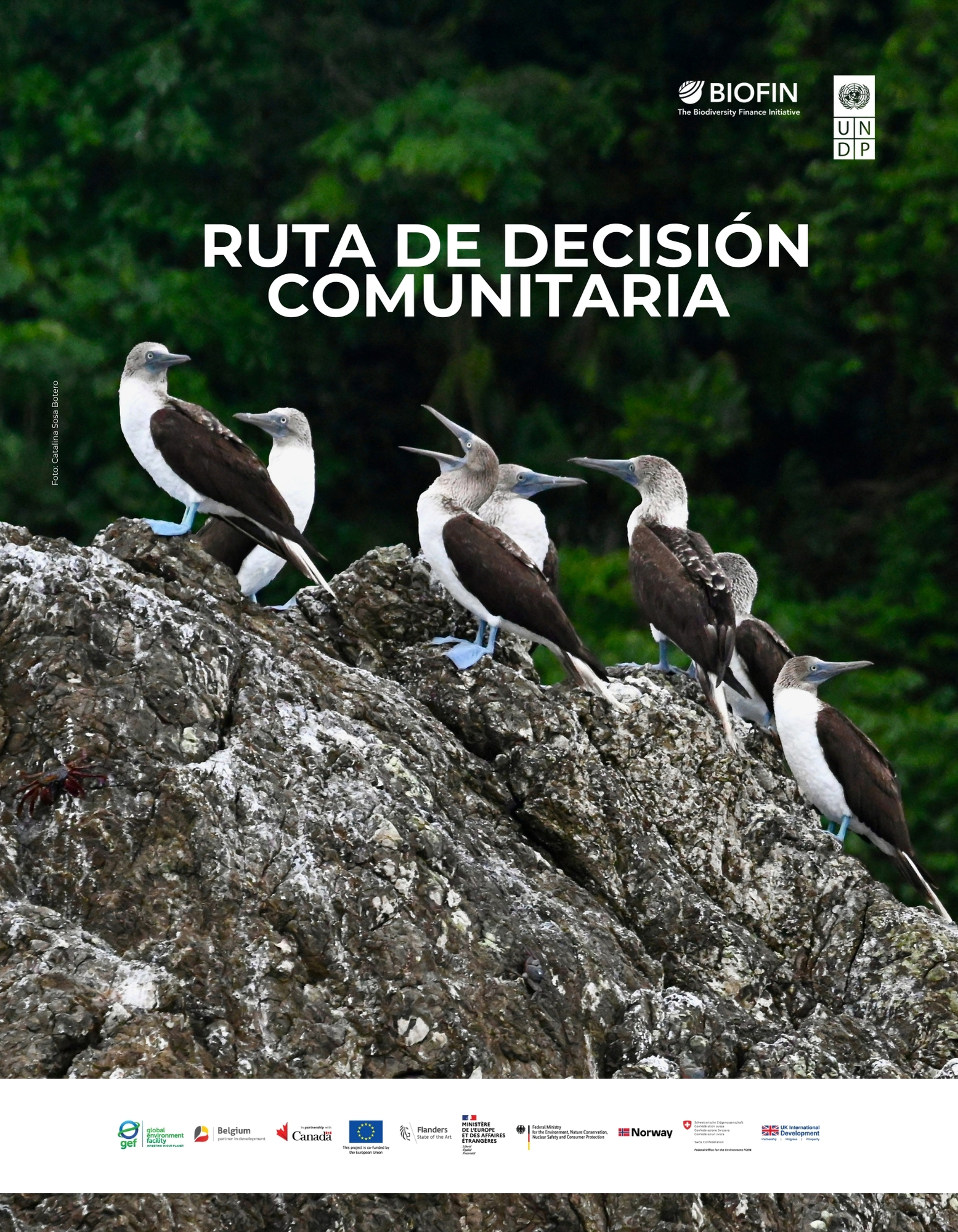 Ruta de decisión comunitaria para la financiación de la biodiversidad