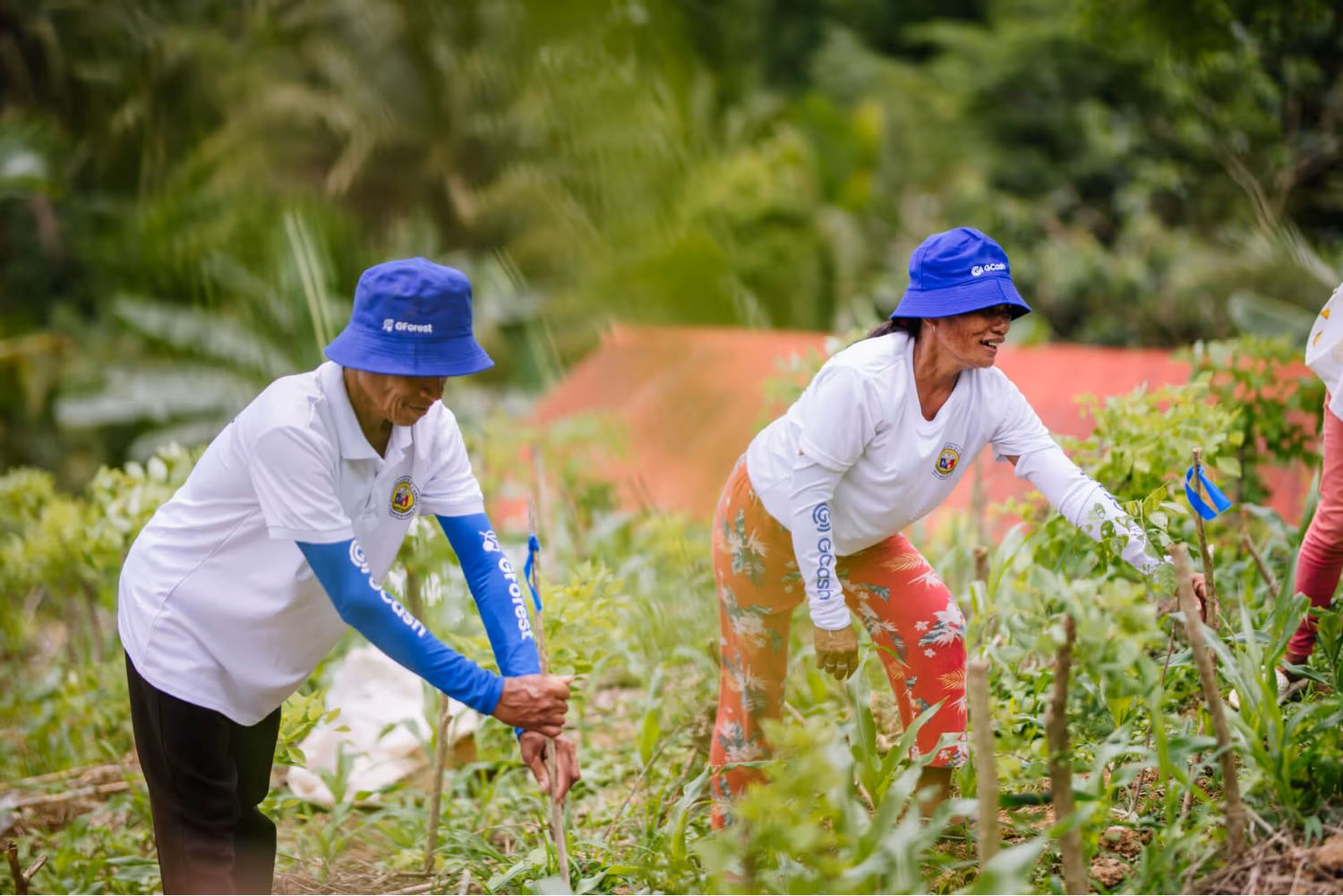 How a fintech app in the Philippines helps to restore forests and empower local communities