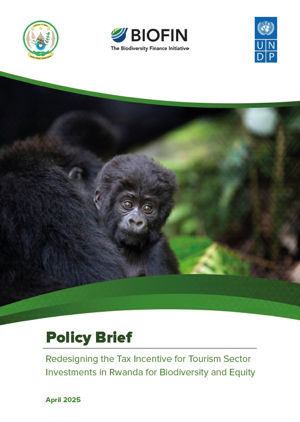 Greening Rwanda’s Tourism Sector: Insights from a Study of redesigning Tourism sector subsidy